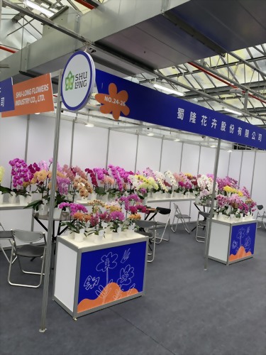 2026 Taiwan International Orchid Show