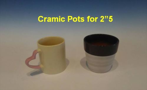 Cramic Pots for 2"5