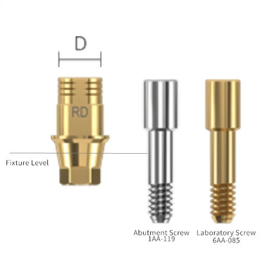 Ti-Base abutment