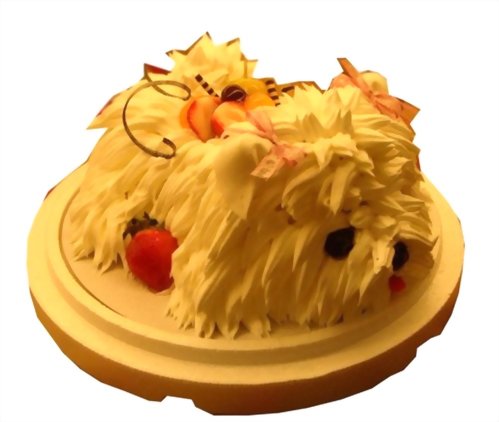 造型蛋糕 | 優仕紳馬爾濟斯-狗蛋糕