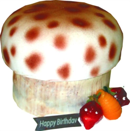 造型蛋糕 | 優仕紳蘑菇蛋糕