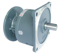 GVD型立式雙軸型齒輪減速馬達