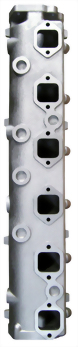 Manifold