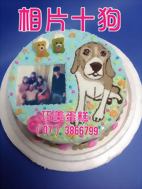 相片十狗