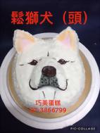 鬆獅犬 (頭)