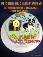 可拉錢款相片加長毛吉娃娃