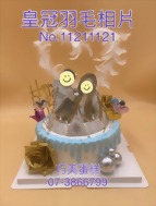 皇冠羽毛相片11211121