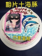 相片+海豚造型蛋糕