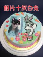 相片+灰白兔