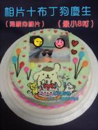 相片+布丁狗慶生(最小8吋)(限橫向相片)