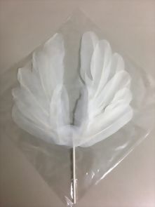 白羽毛