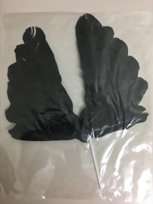 黑羽毛