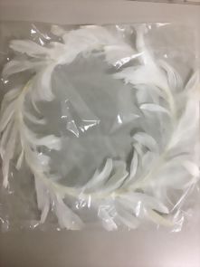 圓形羽毛