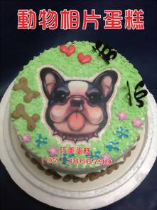 動物相片蛋糕