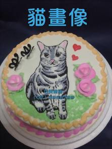 貓畫像