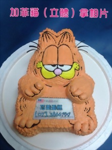 加菲貓（立體）拿相片