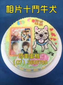 相片+鬥牛犬