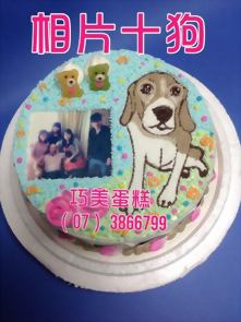 相片十狗