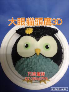 大眼貓頭鷹3D