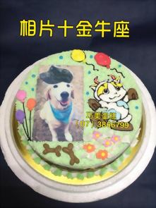 相片+金牛座
