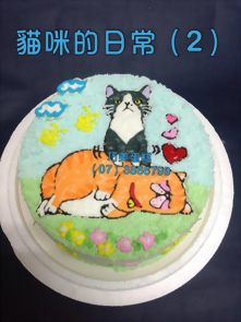 貓咪的日常(2)