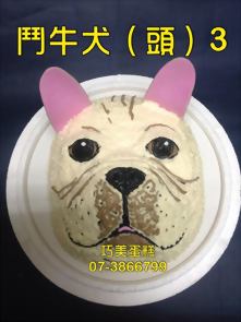 鬥牛犬 (頭) 3