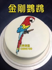 金剛鸚鵡