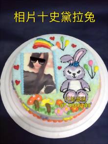 相片+史黛拉兔