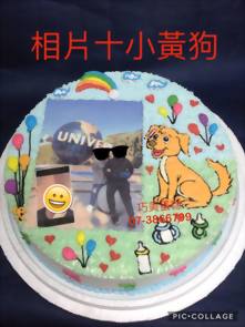 相片+小黃狗