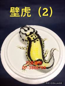 壁虎 (2)