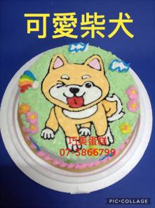 可愛柴犬