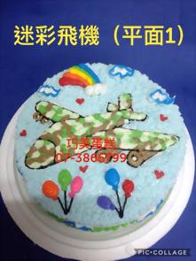 迷彩飛機 (平面1)