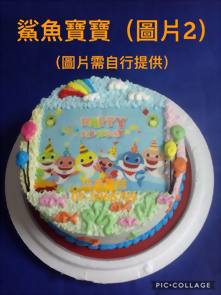 鯊魚寶寶(圖片2)
