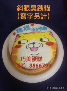 斜眼臭跩貓