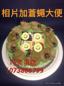 相片加蒼蠅大便