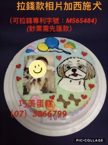 拉錢款相片加西施犬