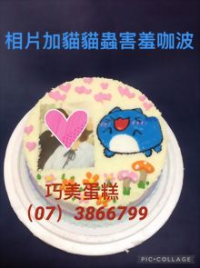 相片加貓貓蟲害羞咖波