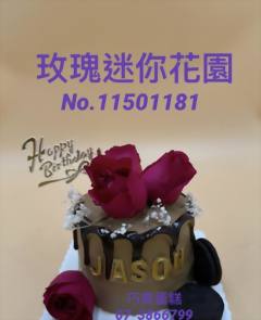 玫瑰迷你花園No.11501181