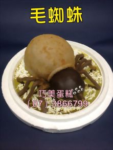 毛蜘蛛