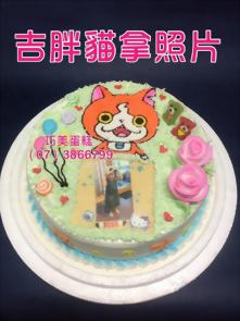 吉胖貓拿照片
