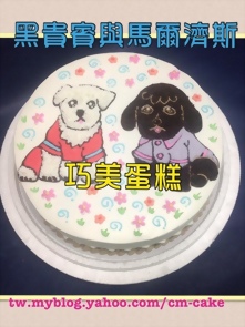 黑貴賓與白馬爾濟斯造型蛋糕