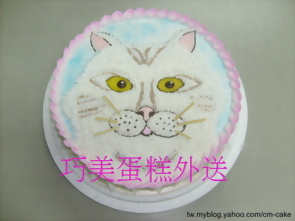 金吉拉貓咪造型蛋糕