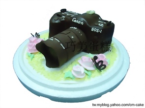 Nikon D90照相機造型蛋糕