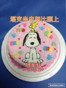 塔克坐史努比頭上