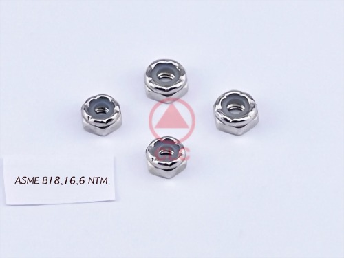 ASME B18.16.6 NTM
