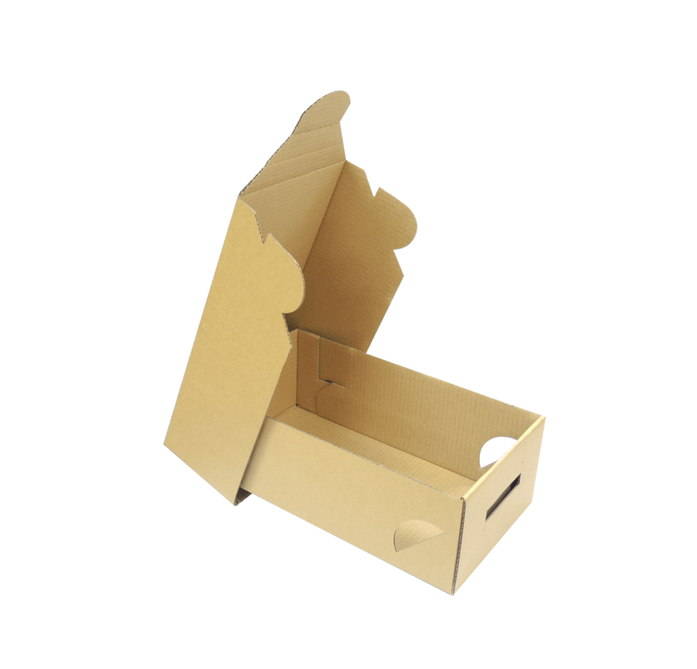 加工紙箱 (範例2)