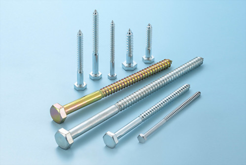 Stainless Steel Hex Lag Screws