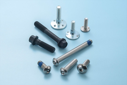 Stainless Steel Automotive Assembly Fasteners