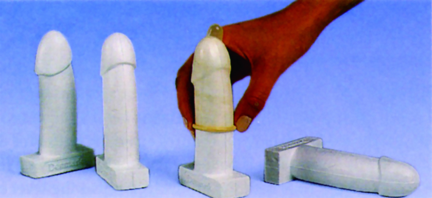 保險套實習訓練模型