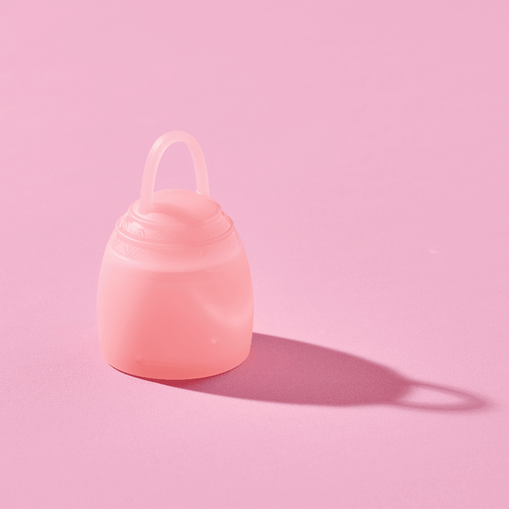 月亮碟片教學組(教學展示用)